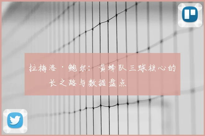 拉梅洛·鲍尔：黄蜂队三球核心的成长之路与数据盘点