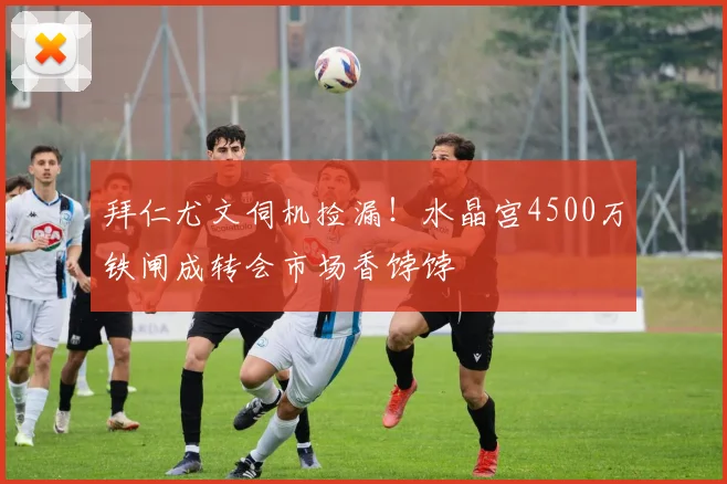 拜仁尤文伺机捡漏！水晶宫4500万铁闸成转会市场香饽饽
