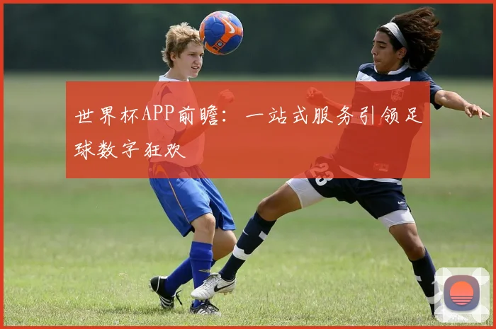 世界杯APP前瞻:一站式服务引领足球数字狂欢